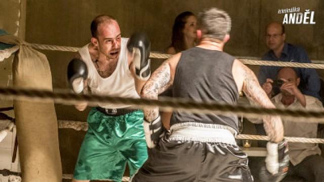 Boxer