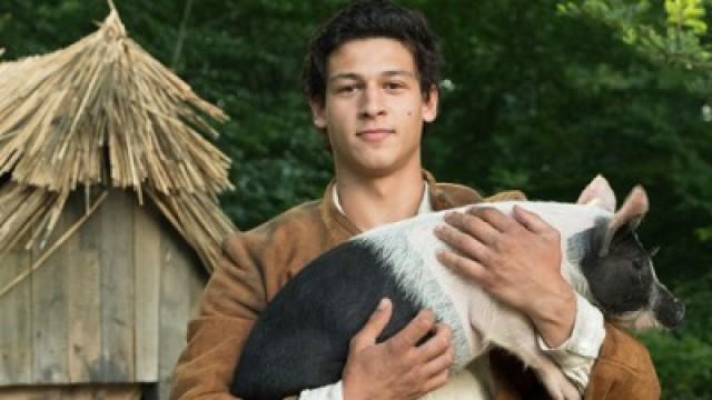 Der Schweinehirt