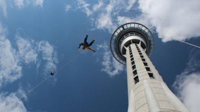 Höhenflüge in Auckland