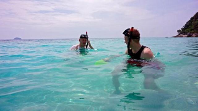 Die Affen von Tioman