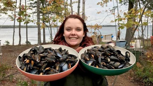 Muschelsuche in Charlottetown