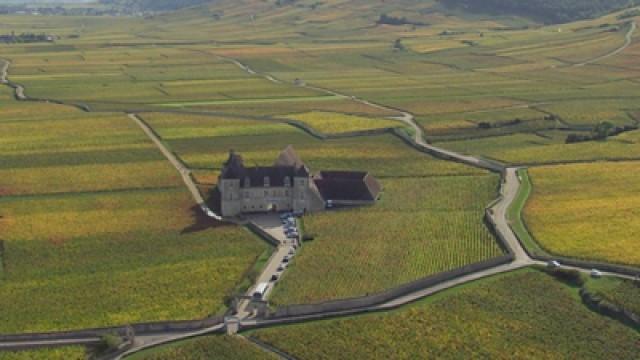 Des terroirs, des châteaux et des vignes