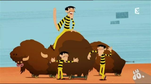 Bisons futés