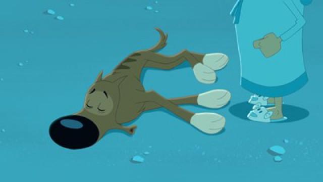 Un mal de chien