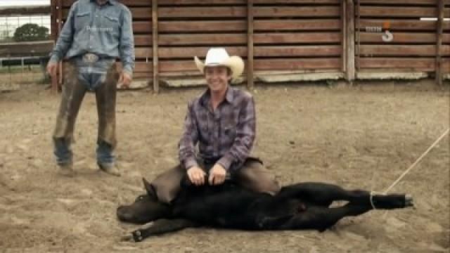 Cattle Rancher