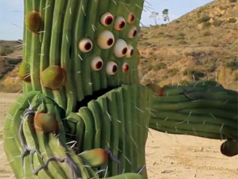 Night of the Cactus!