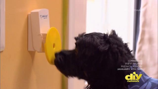 Doggie Doorbell