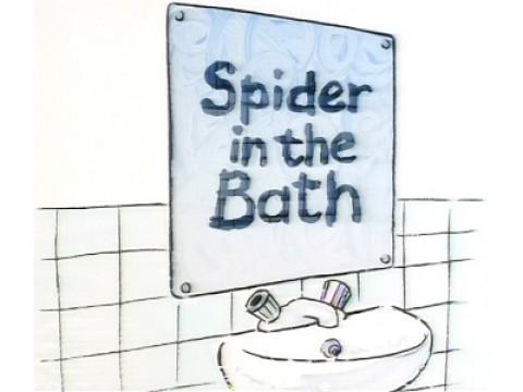 Spider in the Bath