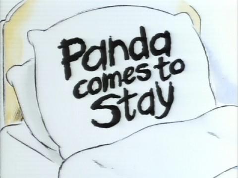 Panda Comes to Stay