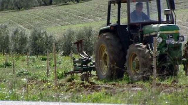 Villamucho y villapoco: ruta por la España desigual