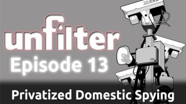 Privatized Domestic Spying