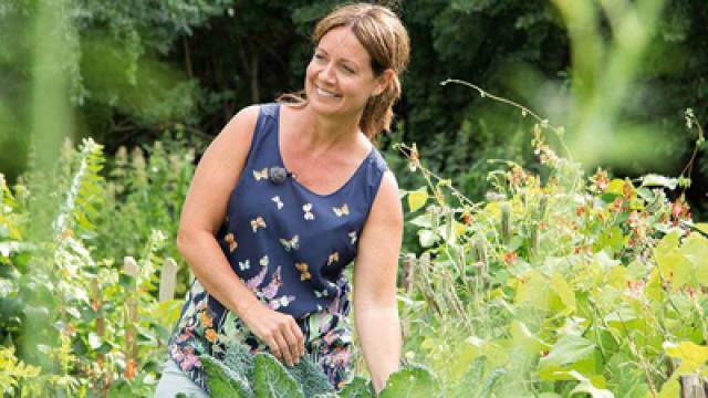 Tillbaka i trädgården