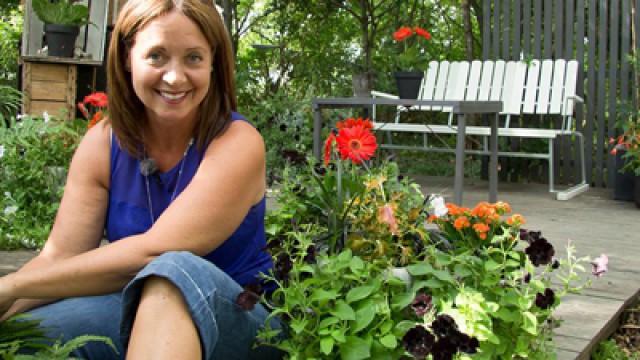 Dags att beskära träden