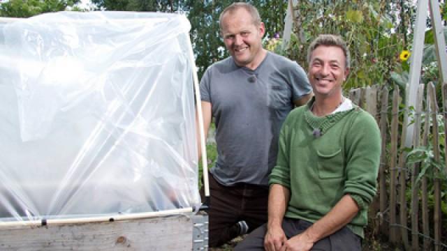 Pernilla gör mobil odling och Tareq lagar lyxsoppa