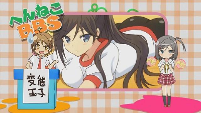 Henneko BBS 8