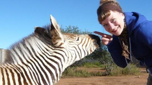 Eine Herde für Zebra Benny