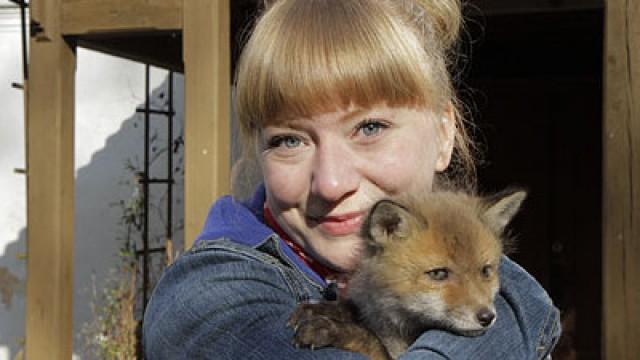Wie schlau ist der Fuchs?