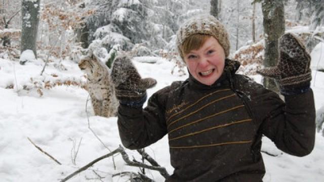 Der Luchs im Schnee
