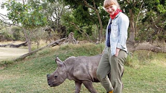 Ganz nah am Nashorn
