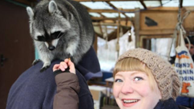 Wie wäscht der Waschbär?