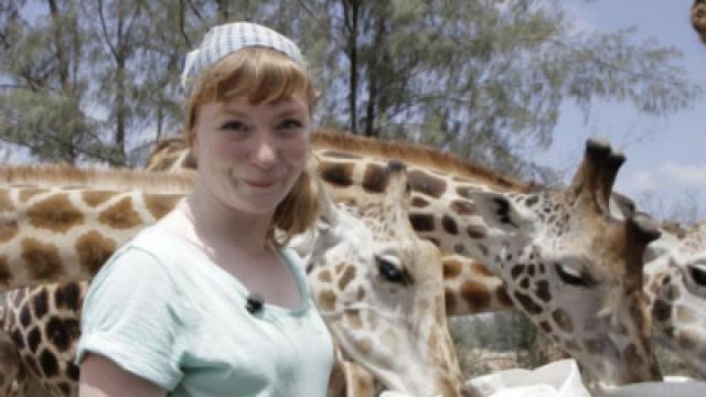 Kopf hoch, Giraffe