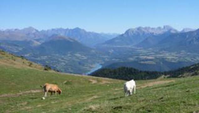 Rhône-Alpes