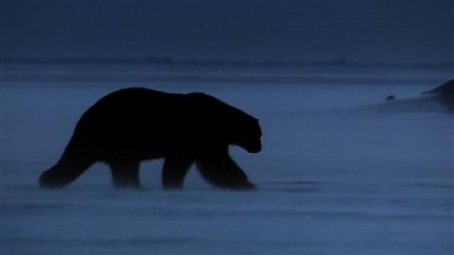 Terre de glace (5/6)