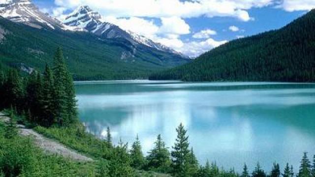 Le Canada grandeur nature : l'ouest sauvage