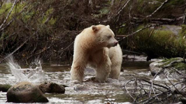 Le Canada grandeur (1/4): L'éternelle frontière