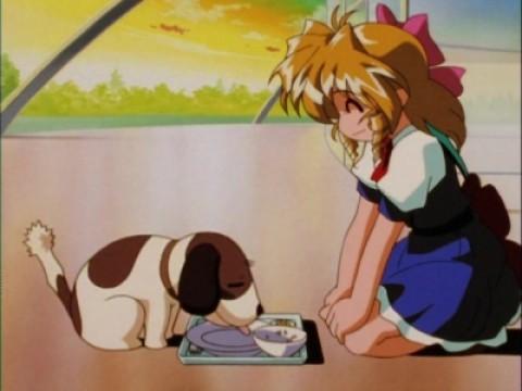 A Life Saver Comes! His Name is Dumb Dog Chiro!