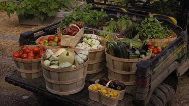Histoires de pêche, potager et génie forestier