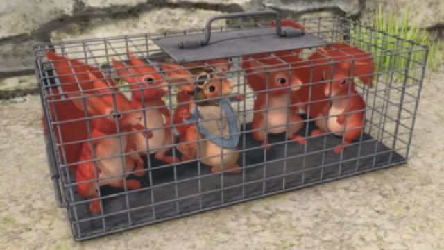 The Tale of the Lucky Four-Leaf Clover