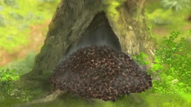 The Tale of the Hazelnut Raid