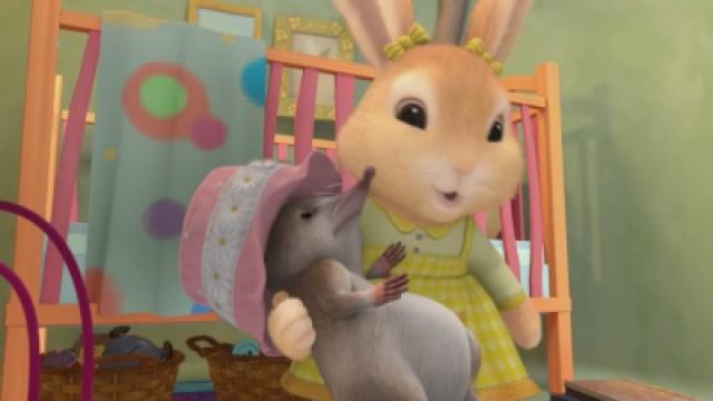 The Tale of Cottontail's New Friend