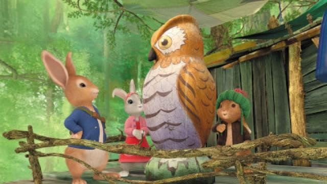 The Great Owl Adventure