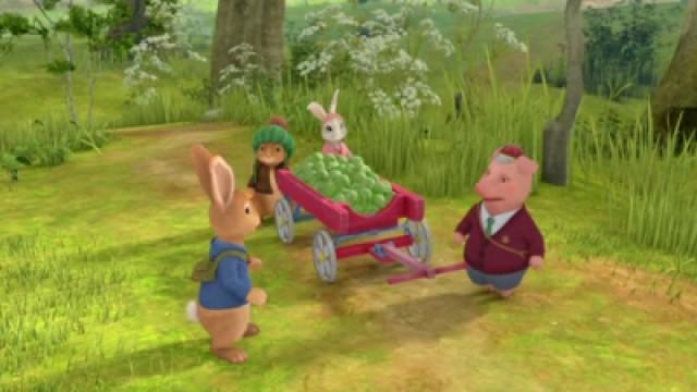 The Kitten and Pig Adventure