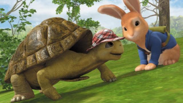 The Tale of Tricky Tortoise