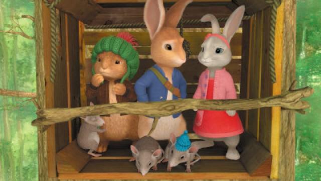 The Tale of Mice on the Move