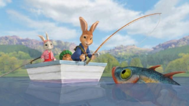 The Tale of the Great Tortoise Rescue