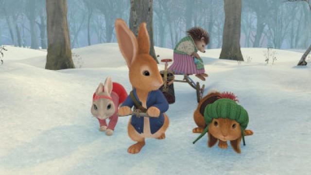 The Tale of the Sleepy Hedgehog