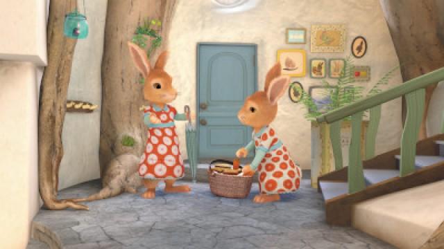 The Tale of the Missing Journal