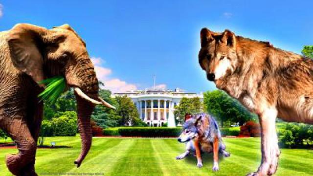 How to Keep Elephants and Wolves Out of Your Yard