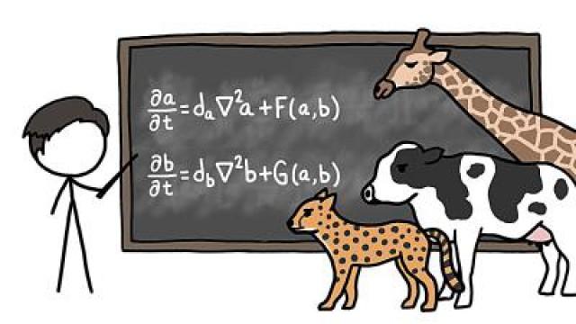 Can Math Explain How Animals Get Their Patterns?