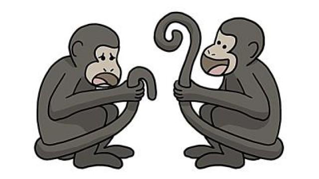 Why Only Some Monkeys Have Awesome Tails