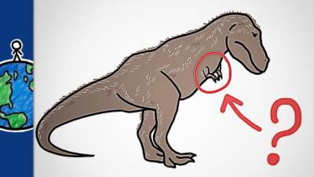 Why Did T Rex Have Such Tiny Arms?