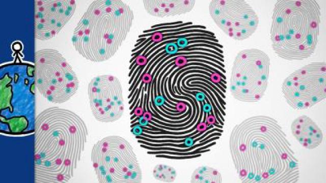 Why Are Your Fingerprints Unique?