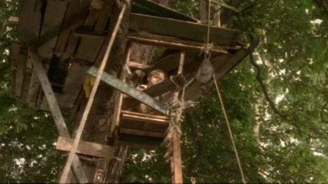 Treehouse