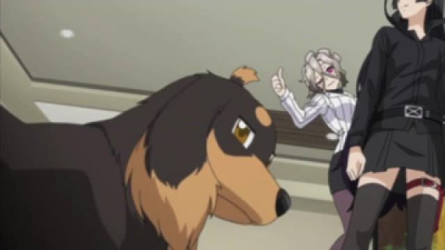 The Dog Would Not be Shot but for its Cries