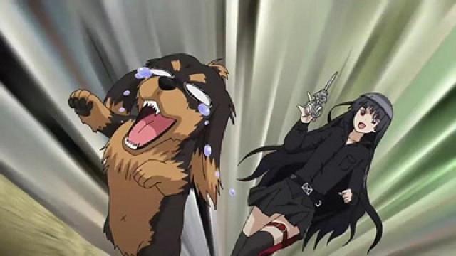 Dogs and Scissors Require Good Handling