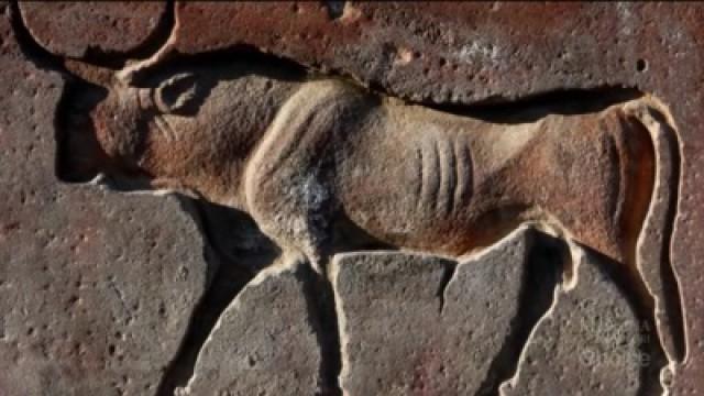 The Animals of Egypt's Underworld